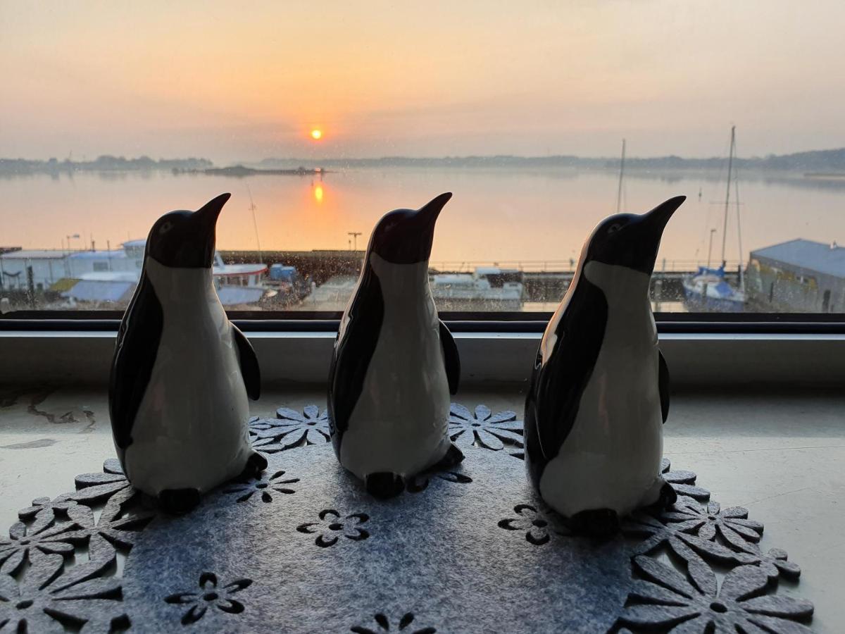 Ferienwohnung Schleiloge Mit Panoramablick Auf Die Schlei Шлезвиг Экстерьер фото